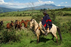 randonnée équestre en Equateur - randocheval / absolu voyages